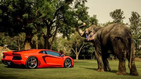 Cum să promovezi jante cu un Aventador şi un elefant indian