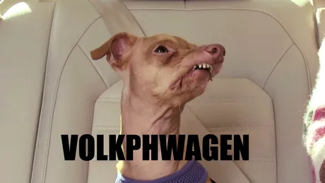 Volkswagen, cel mai bun prieten al lui Phteven The Dog [VIDEO]