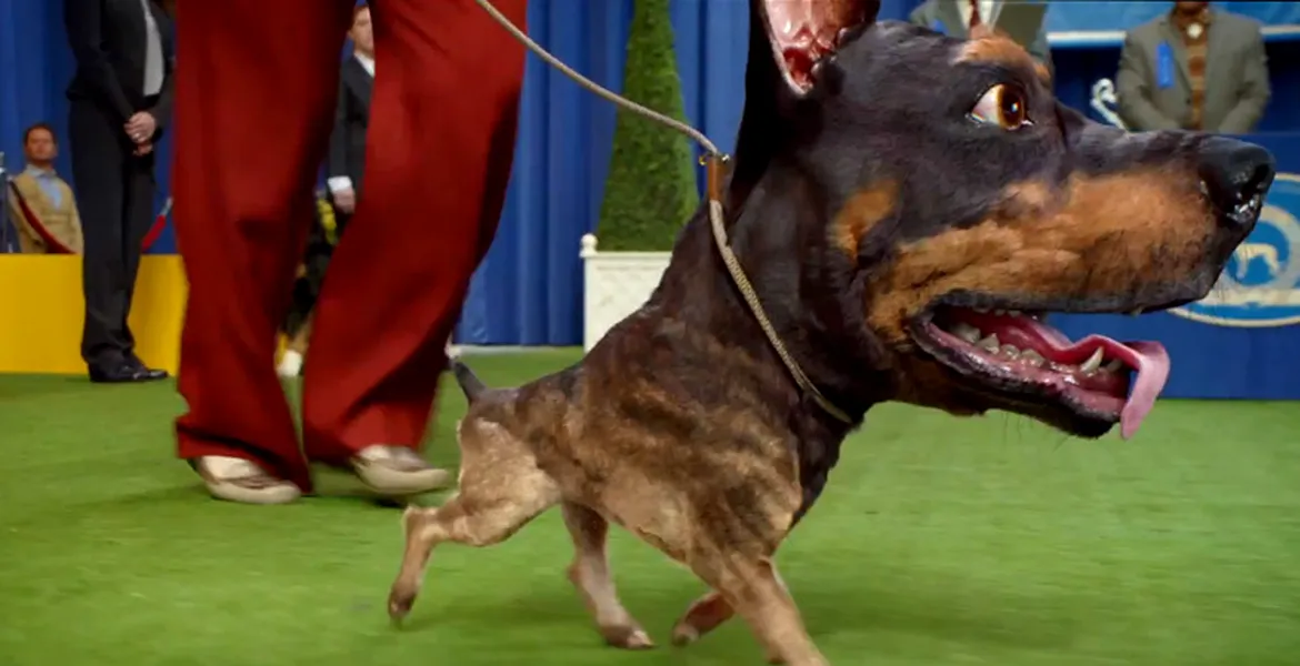 Doberhuahua, personajul principal în reclama Audi pentru Super Bowl. VIDEO