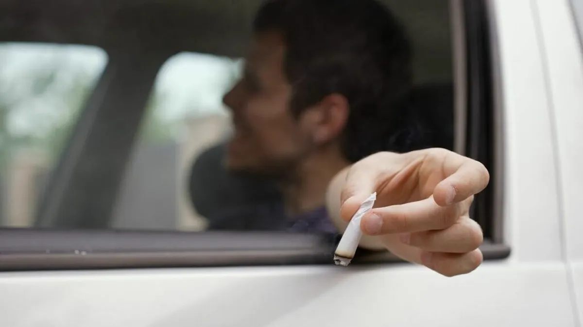 După cât timp poți conduce dacă ai fumat canabis? În cât timp este eliminat THC din organism