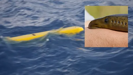 Video / Americanii au dezvăluit drona subacvatică inspirată de „peștele vampir” care își urmărește ținta înainte de atac