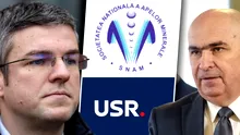 Avalanșă de sinecuri în ultimele zile ale Guvernului. Ministrul demis al Economiei, Irineu Darău, își numește colegii de la USR în conducerea companiilor de stat: „Ar fi trebuit să organizeze concurs”