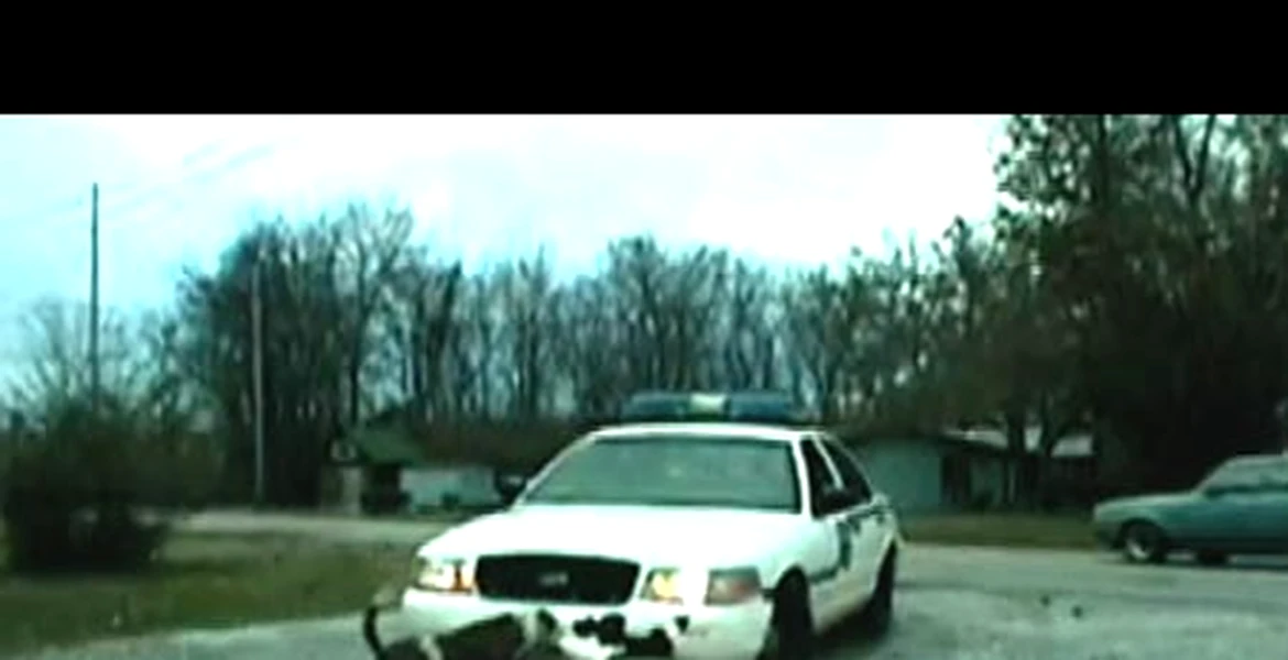 Maşină de poliţie atacată de un câine!