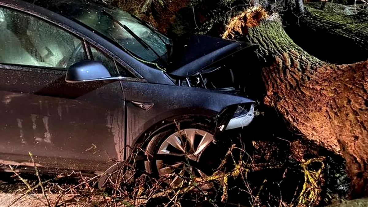Două mașini Tesla au salvat opt vieți. Altfel ar fi intrat în plin într-o copac căzut pe șosea
