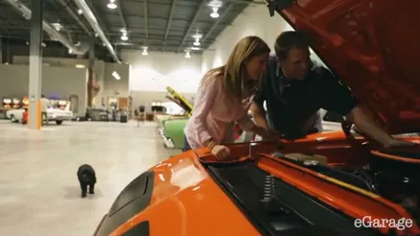 VIDEO: ”Grădina Zoo” a maşinilor muscle-car de altă dată...