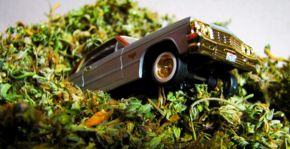 Maşina din cannabis, singura care se dă mai departe (cine a spus asta?)