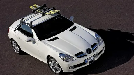 Accesorii Mercedes Benz SLK 2008