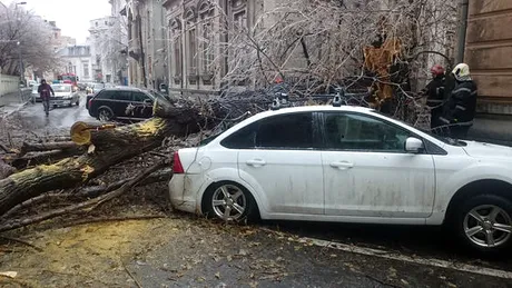 Sute de copaci au căzut în Bucureşti, după ploile îngheţate de zilele trecute. Peste o sută de maşini avariate - GALERIE FOTO