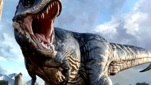Ce a dezvăluit un dinte vechi de 66 de milioane de ani despre Tyrannosaurus rex?