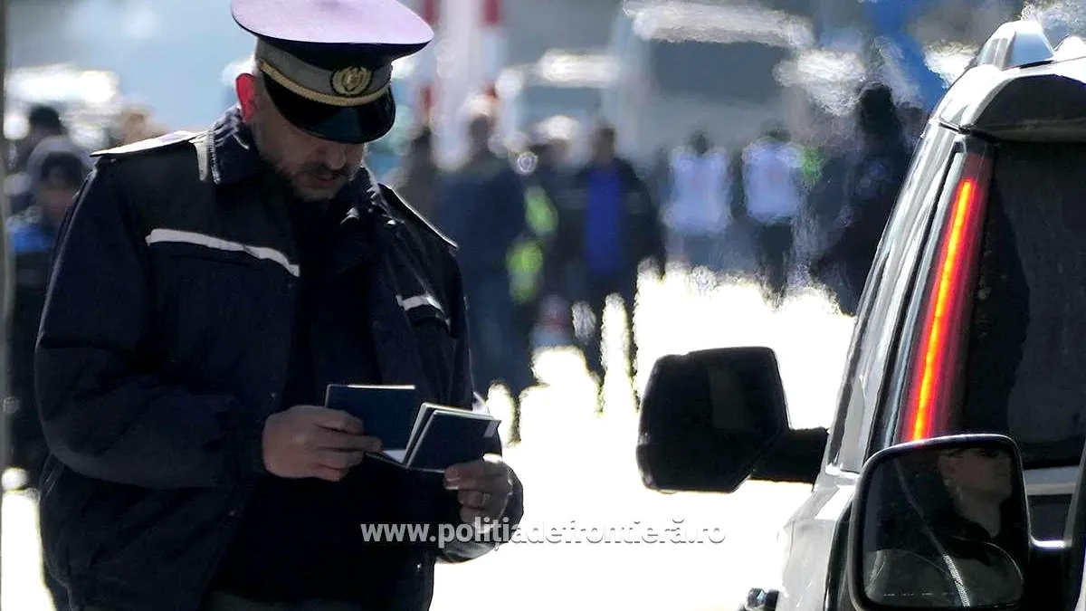 Permis auto fals, procurat cu 3.000 de lei de pe internet
