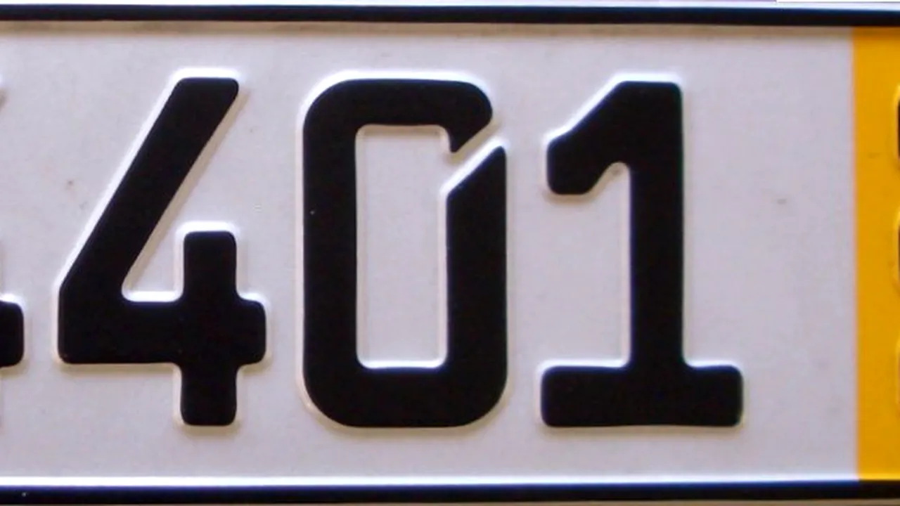 Poza 1