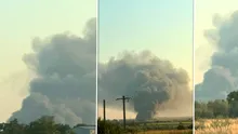Incendiu puternic pe drumul spre mare. Norul de fum vizibil de pe Autostrada Soarelui, aproape de litoral