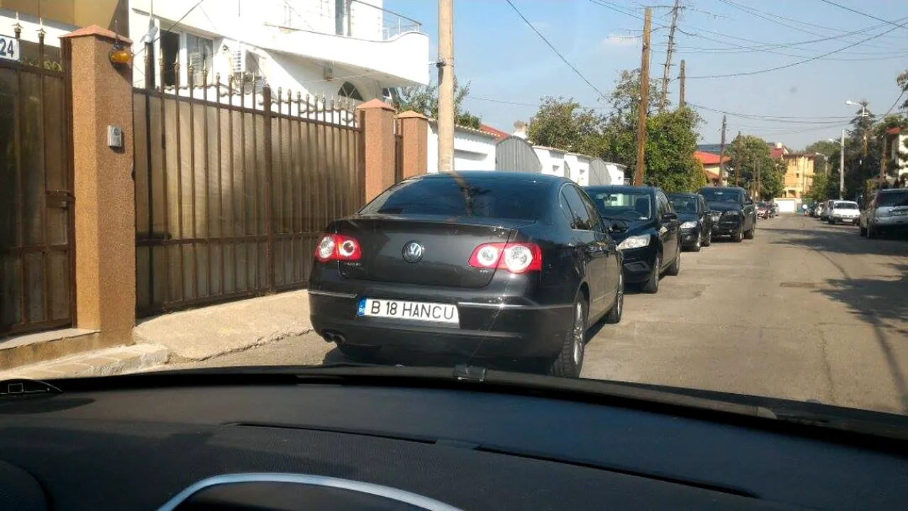 Poza 1