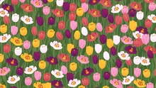 Test de perspicacitate| Caută ALBINA ascunsă într-o imagine cu 383 de flori