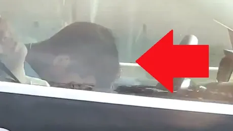 Un şofer a fost filmat în timp ce dormea la volanul unei maşini - VIDEO