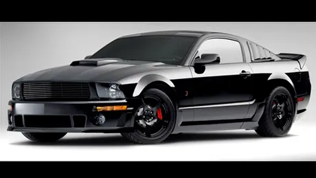 Ford şi Roush daţi în judecată