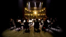 Un studiu arată ce se întâmplă în creier în timpul unui concert live