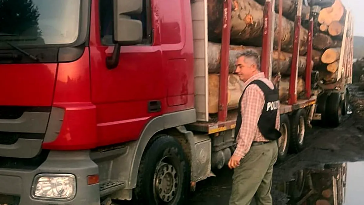 Un primar din Argeș a fost prins la volanul unui camion cu lemne furate
