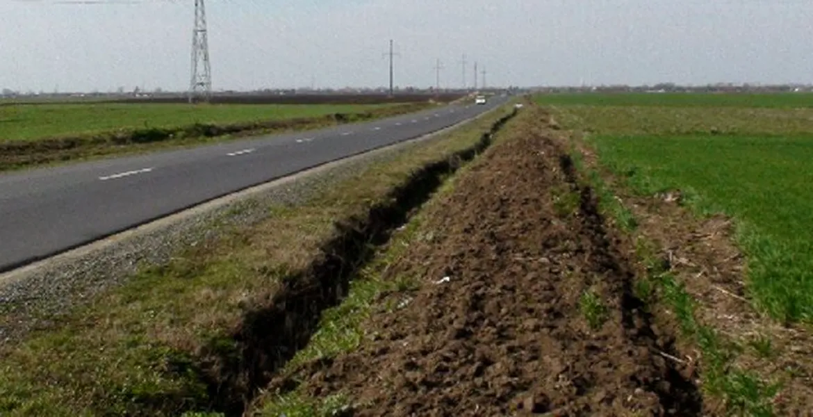 Sălciile energetice plantate pentru a proteja şoselele de zăpadă, distruse de agricultori