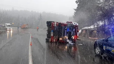 Un camion care transporta peste 600 de porci s-a răsturnat în Pasul Tihuța