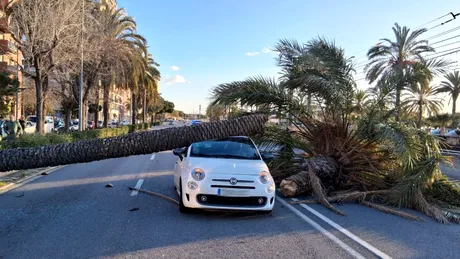 Furtună violentă în Spania: mașini strivite și drumuri blocate după rafale de 170 km/h