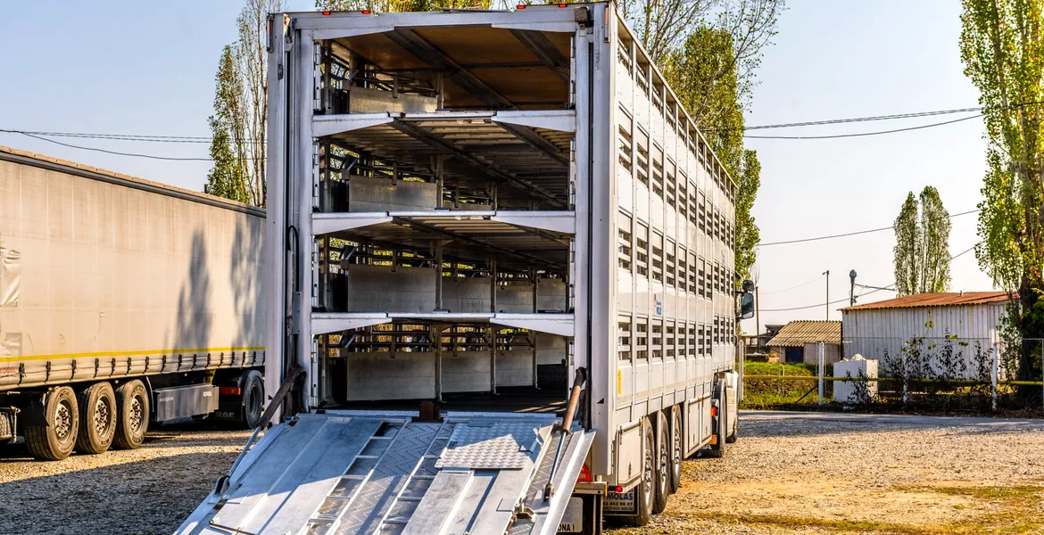 Serviciile de transport animale trebuie sa beneficieze de toată atenția!