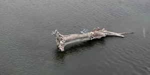 VIDEO | Misterul celor trei biciclete prinse de un buștean dintr-un râu într-un oraș american