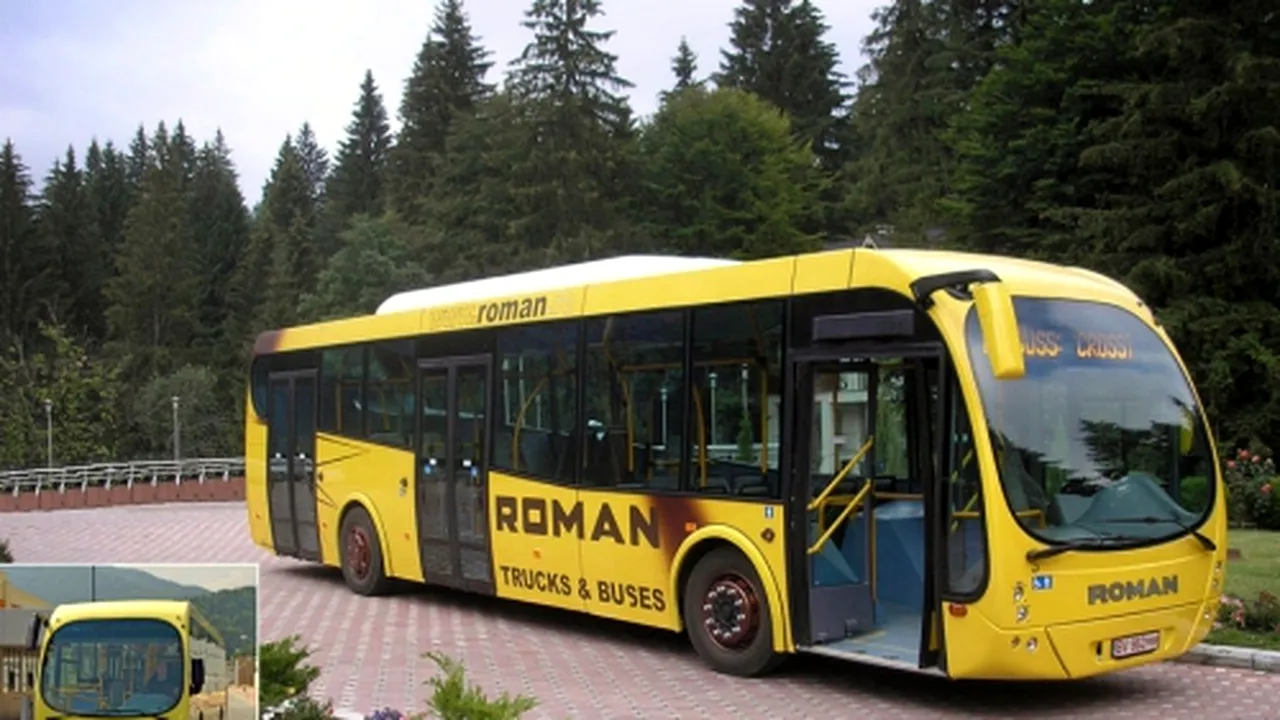 Poza 1