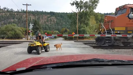 Un bărbat care își plimbă câinele trăgându-l după un ATV, la un pas de a fi călcat de tren