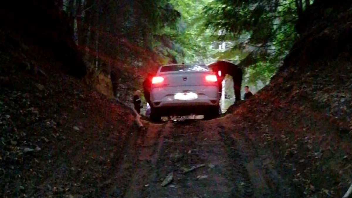 O Dacia Logan a rămas blocată pe un drum forestier. Șoferul a dat vina pe sistemul de navigație