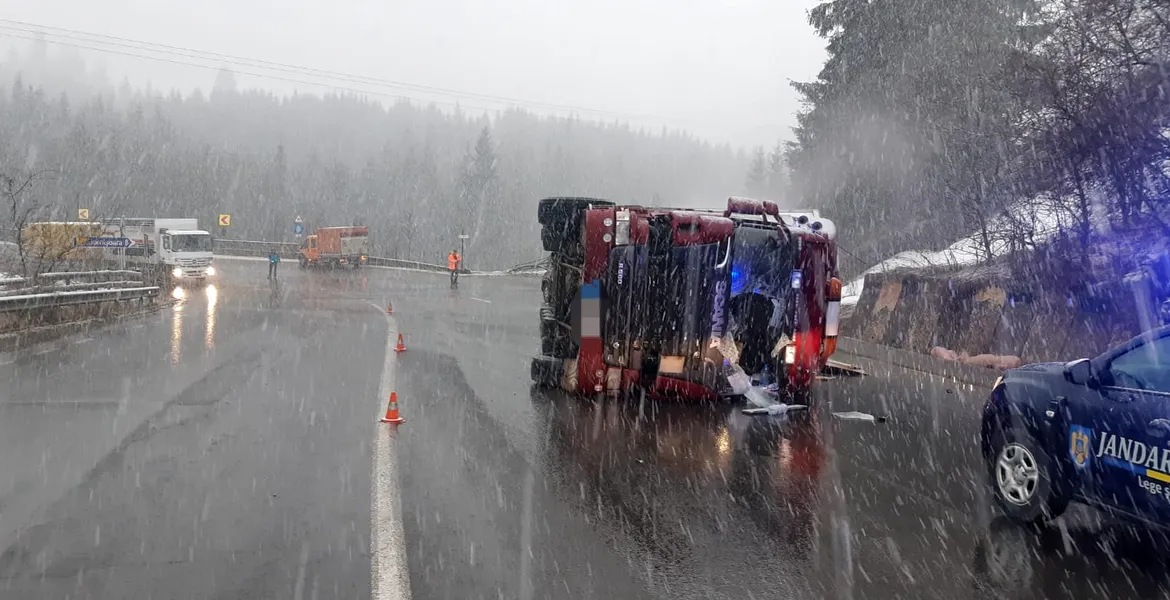 Un camion care transporta peste 600 de porci s-a răsturnat în Pasul Tihuța