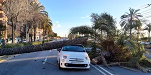 Furtună violentă în Spania: mașini strivite și drumuri blocate după rafale de 170 km/h