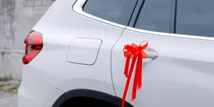 Un patron din Botoșani și-a vândut firma, iar cu banii obținuți le-a cumpărat mașini foștilor salariați. Și-au putut chiar alege marca dorită