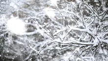 ANM anunță temperaturi de -13 grade și ninsori abundente în toată țara. Cum va fi vremea în perioada 19 ianuarie – 1 februarie