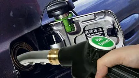 Consumul de biocombustibili va creşte