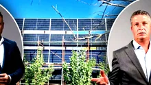 Scandal în Corbeanca, la doi pași de Paradisul Verde al lui Țânțăreanu. Primarul userist al comunei este acuzat că a construit ilegal o structură pentru panouri fotovoltaice. Cum se apără edilul