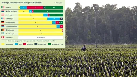 Greenpeace: ”biocombustibilii nu sunt ecologici”