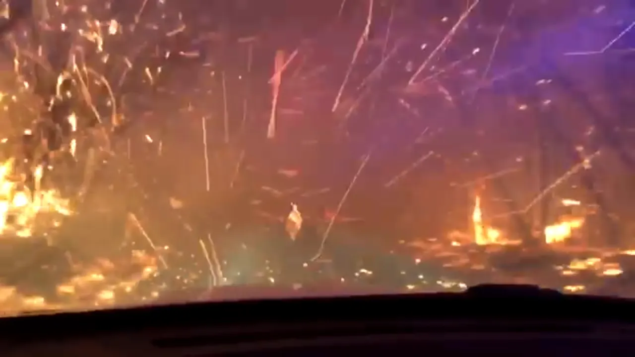 1-foc 