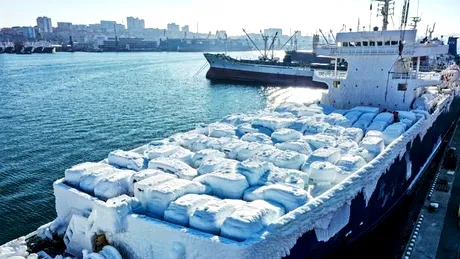 Zeci de mașini au înghețat bocnă pe o navă ajunsă în Vladivostok. Cum arată la interior? (cu video)