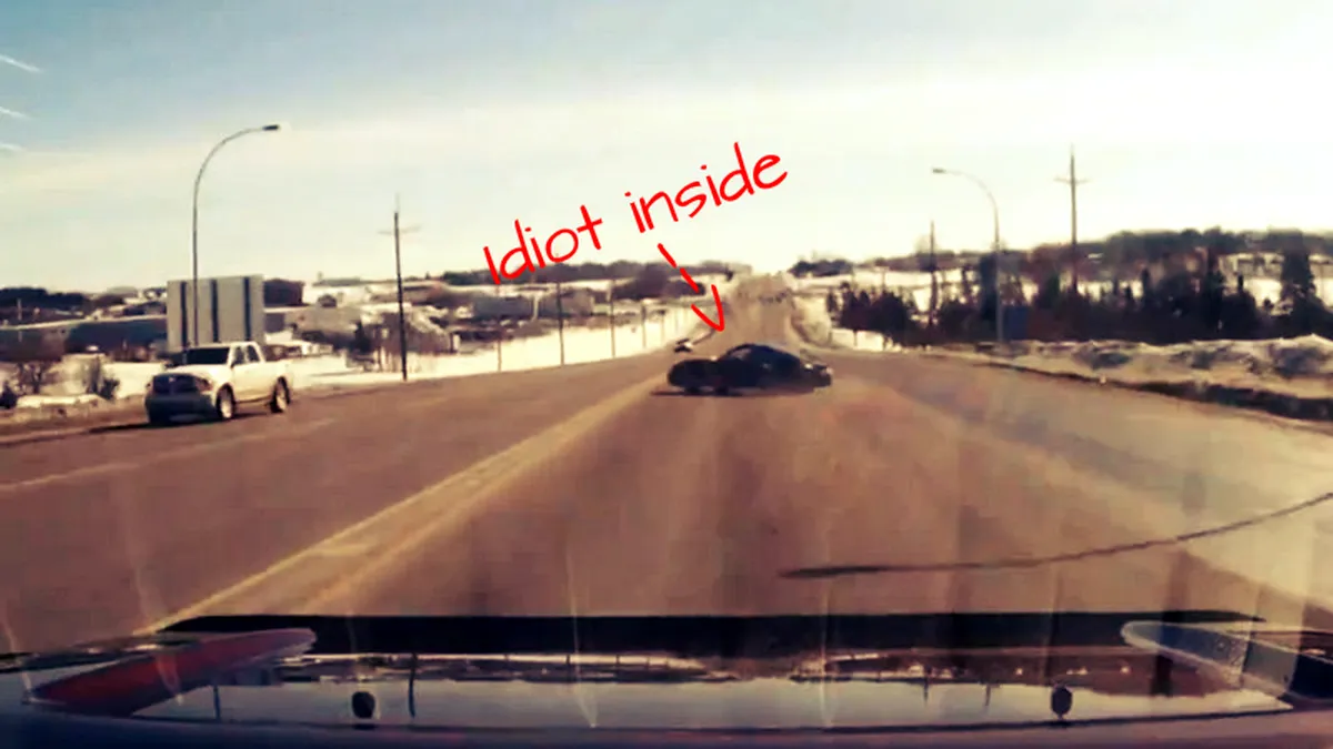 Nu-i lăsa Caymanul pe mâna puştiului tău, o să regreţi... VIDEO