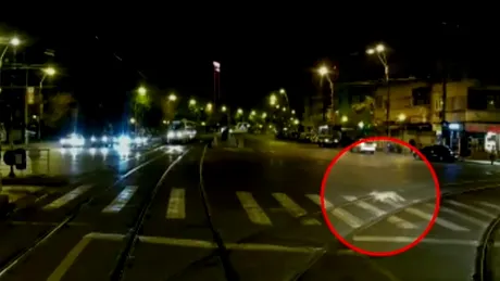 O vulpe a fost filmată în timp ce „traversează regulamentar” un bulevard din București - VIDEO