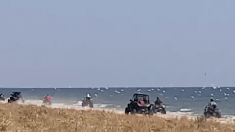 Distracție cu ATV-uri în zona protejată grindul Chituc (comuna Corbu). Cum au fost așteptați la întoarcere contravenienții? VIDEO