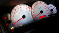 Cum scapi de rozătoarele din mașină. Aceste detalii te pot ajuta să eviți o pagubă uriașă