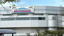 Cozi la Delfinariul din Mamaia în minivacanța de 1 Mai. Cât plătesc turiștii pentru un bilet