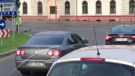 Un poliţist a oprit traficul în intersecţia din oraş pentru nişte pietoni mai puţin obişnuiţi [VIDEO]