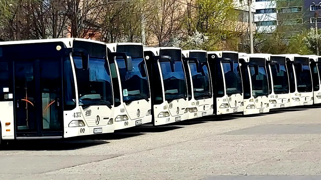 stb1 