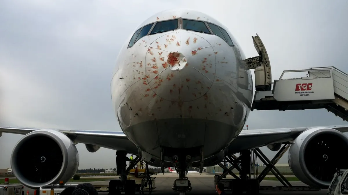 Cum arată botul unui avion după impactul cu un stol de păsări - FOTO