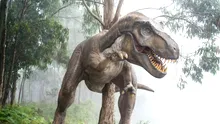 De ce avea Tyrannosaurus rex brațe atât de mici?