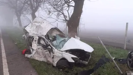 Un Audi s-a rupt în două după ce a lovit un copac la 130 km/h