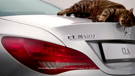 VIDEO: CLA e cea mai aerodinamică maşină din lume. Pisicile (dez)aprobă